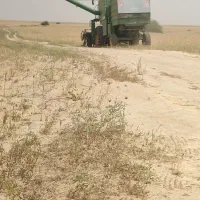 زمین کشاورزی دیمی
