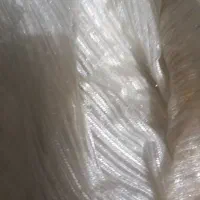 پرده در حد نو