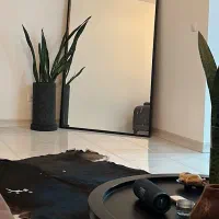 اینه بزرگ|آینه|تهران, ولنجک|دیوار