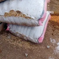 ۸تن کاه جووگندم کاه کوب