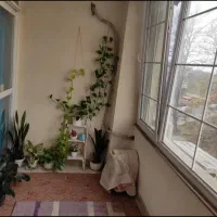 آوارتمان فول امکانات با تراس بزرگ خیابان کیاموسوی|فروش آپارتمان|لاهیجان, پردسر|دیوار