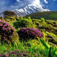 دوربین عکس برداری نیکون p900