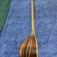 سه تار حرفه ای ( روح افزا ) استاد حسن پالیزدار