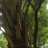 سپیدان روستای برشنه منطقه گشنگان