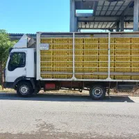 ایویکو مرغی 82|خودرو سنگین|سیجوال, |دیوار