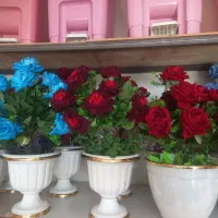 پخش گل مصنوعی
