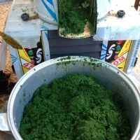 سبزی خورشتی بخار پز  با عطر بو بسیارعالی|خوردنی و آشامیدنی|رامهرمز, |دیوار