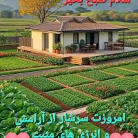 کاروان ضامن اهو