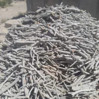 خریدانواع چوب درخت|خدمات باغبانی و درختکاری|سیرجان, |دیوار