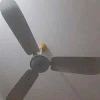پنکه سقفی