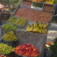 گاری|ابزارآلات|تهران, شکوفه (عبدل آباد)|دیوار