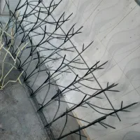 تولید شاخ گوزی|خدمات پیشه و مهارت|تبریز, |دیوار