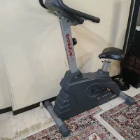 دوچرخه باشگاهی ویوا آمریکایی اورجینال