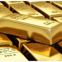 بازار های مالی|فعالیت داوطلبانه|سردشت, |دیوار