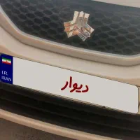 ساینا Sدنده ای