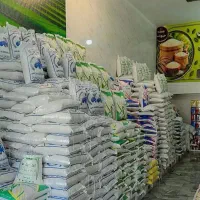 فروش برنج عنبربو، چمپا، فجر، زعفران و آبلیمو
