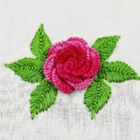 هنر|لباس|شاهرود, |دیوار