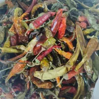 فلفل تند خشک لواشک تازه خونگی چای خشک وو