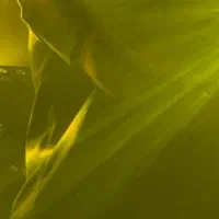 گروه موزیک و دیجی