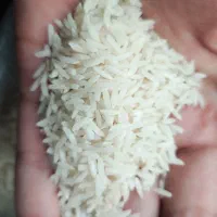 برنج هاشمی درجه یک شفت