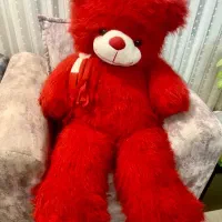 شاسخین(عروسک خرس بزرگ)