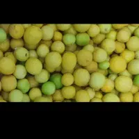 فروش لیموارگانیک