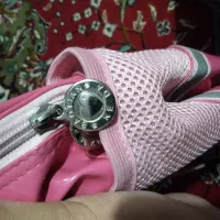 کیف مدرسه دخترانه|کیف، کفش، کمربند|صدرا-فارس, فاز ۱|دیوار