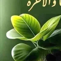 نصب برنامه و ۶۰ هزارتومان هدیه