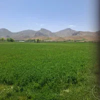 یونجه پرس چین سوم