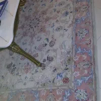 زرع و نیم گل ابریشم