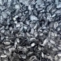 کربن پسته