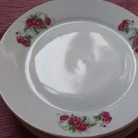 سرویس گل سرخی بشقاب دیس پیاله پیش دستی|ظروف سرو و پذیرایی|تهران, زرکش|دیوار