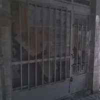 مغازه فروشی