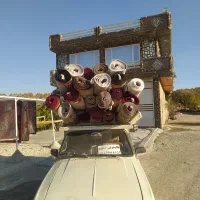 قالیشویی گشاوه|خدمات نظافت|نمشیر, |دیوار