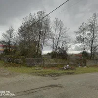 ۵۸۵ مترزمین دونبش ساحلی باسندتک برگ درنوکنده بزرگ