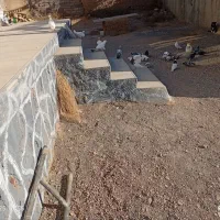 ۳۲تاکفترپرشی وجفتگاه ارزون|پرنده|سبزوار, هویزه|دیوار