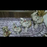 مجسمه زیبای فیل