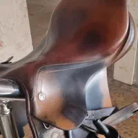 زین پرستیژ|اسب و تجهیزات اسب‌سواری|اقبالیه, |دیوار