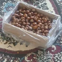 خرماسفید وخرماهلیله ای|خوردنی و آشامیدنی|فهرج, |دیوار