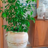 گلدان پتینه سایز بزرگ ۵۹۰ هزار سایز کوچک ۳۹۰هزار