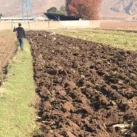 زمین کشاورزی سراب چنگای ابی سالی دو کشت