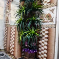 درخته نخل|گل مصنوعی|سلماس, |دیوار