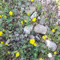 سلام خسته نباشین