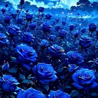 فرش دارم برا بافتن