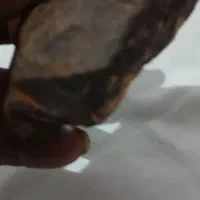 کمیاب و نادرترین شهاب سنگ به شرط تضمینی|کلکسیون اشیاء عتیقه|آبدانان, |دیوار