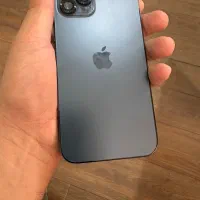 iPhone 12 pro|موبایل|مشهد, چهارچشمه|دیوار