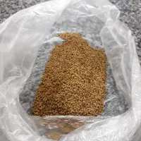 انواع بذر یونجه پایه بلند باضمانت|خدمات باغبانی و درختکاری|شوشتر, |دیوار