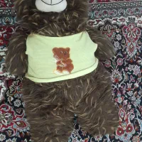 عروسک خرس|اسباب‌بازی بچه|خرم‌آباد, |دیوار