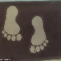 سه عدد پادری|پادری|تهران, شهرک شهید باقری|دیوار