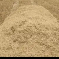 فروش کاه درجه یک